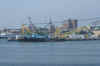 DSC03805.jpg (95914 bytes)