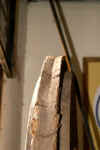 PICT0234.JPG (81456 bytes)