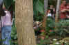 DSC01003x.JPG (110363 bytes)