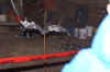 DSC05193.jpg (96738 bytes)