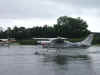 DSCF2100.JPG (124403 bytes)