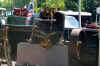 DSC06504.jpg (123218 bytes)