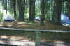 DSC04391.jpg (168035 bytes)
