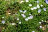 DSC09766-001.JPG (274565 bytes)
