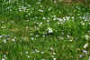 DSC09767-001.JPG (388298 bytes)