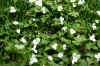 DSC09769-001.JPG (285265 bytes)
