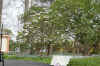 DSC09774-001.JPG (347234 bytes)