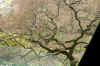 DSC09776-001.JPG (370700 bytes)