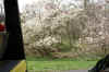 DSC09778-001.JPG (351752 bytes)