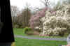 DSC09779-001.JPG (329362 bytes)