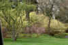 DSC09780-001.JPG (375100 bytes)