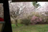 DSC09787-001.JPG (347990 bytes)