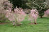 DSC09788-001.JPG (333561 bytes)