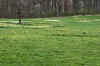 DSC09790-001.JPG (295521 bytes)