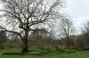 DSC09801-001.JPG (376446 bytes)