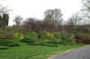 DSC09802-001.JPG (283661 bytes)