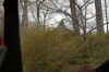 DSC09804-001.JPG (296829 bytes)
