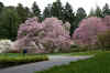 DSC09808-001.JPG (307253 bytes)
