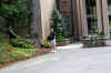 DSC09839-001.JPG (288695 bytes)