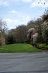 DSC09895-001.JPG (216935 bytes)